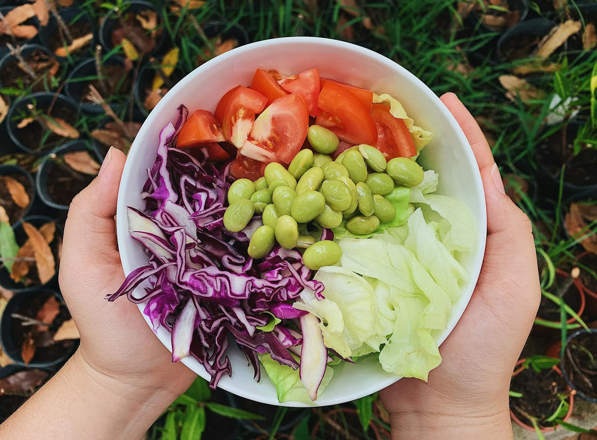 Especialista conversando sobre nutrición